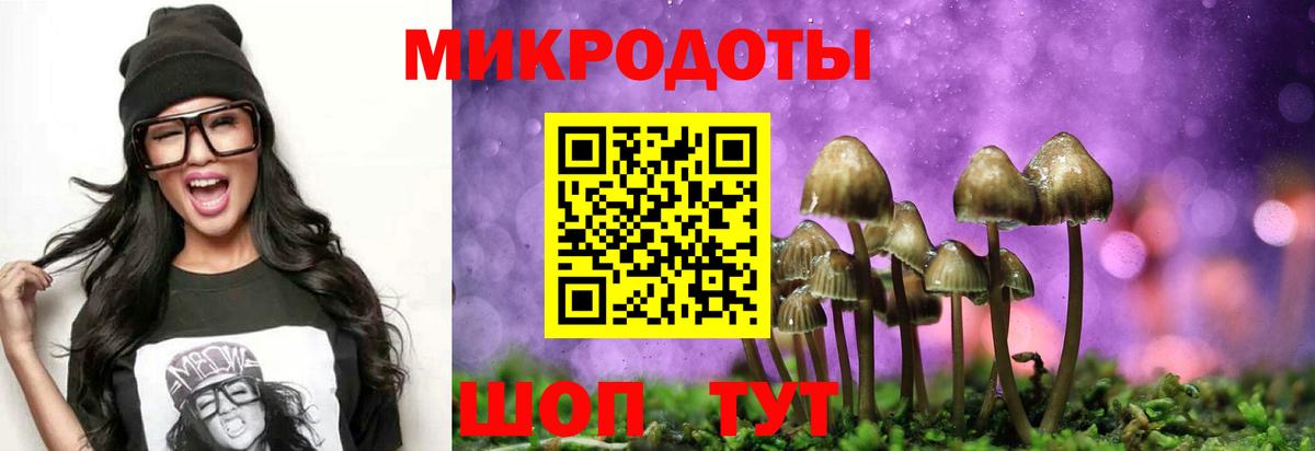 Псилоцибиновые грибы GOLDEN TEACHER  Галлюциногенные грибы прущие грибы  Вход с VPN  Шахты 